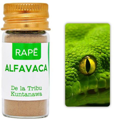 Alfavaca - immagine 2